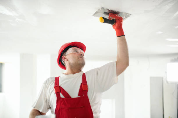 Best Water-Damaged Drywall Repair  in La Porte, IN